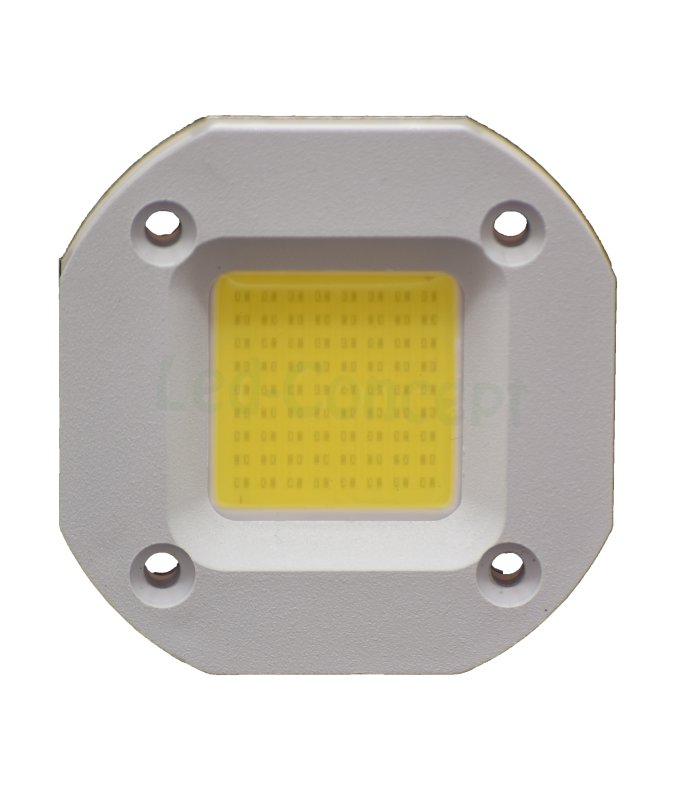 Chip LED 50W 220V